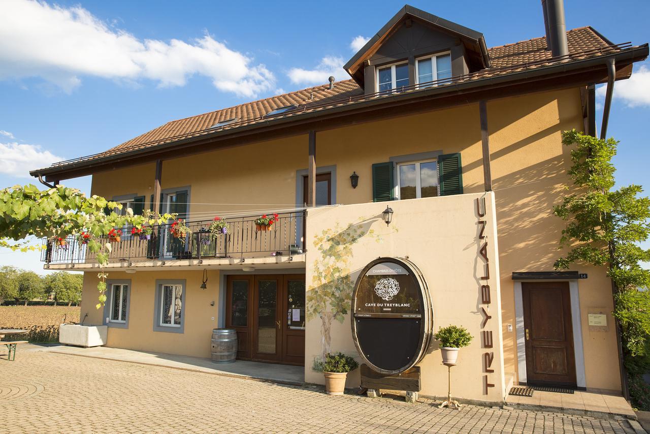 Bed and Breakfast Cave Du Treyblanc Luins Exterior foto