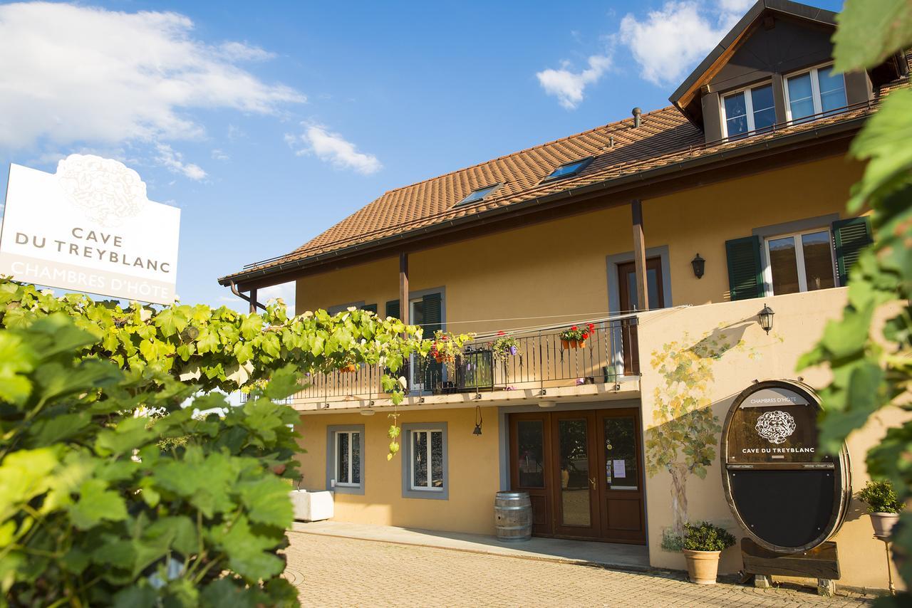 Bed and Breakfast Cave Du Treyblanc Luins Exterior foto